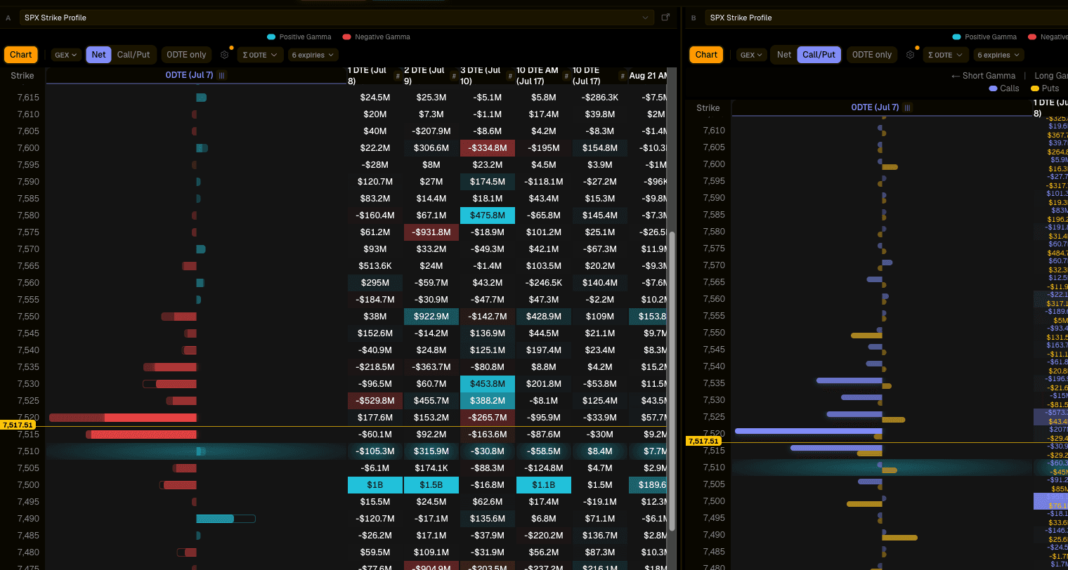 quantedOptions Lite SPX strike profile with per-expiry exposure columns